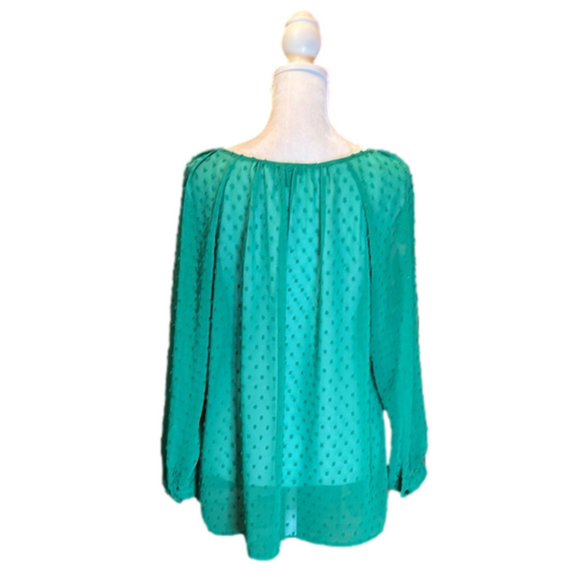 J. CREW Factory Sheer Emerald Green Blouse Size S - Picture 5 of 8